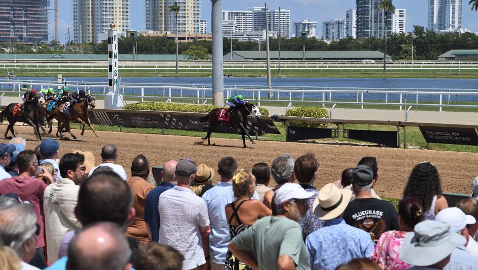 Noel Michaels handicapping, Gulfstream Park, Americas Best Racing Sunday Selections